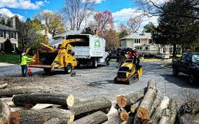 Best Hazardous Tree Removal  in Mastic Beach, NY