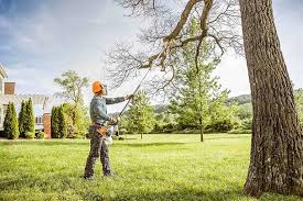 How Our Tree Care Process Works  in  Mastic Beach, NY