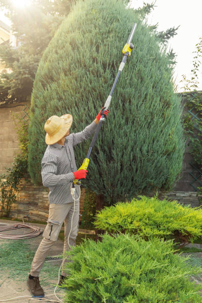 Best Commercial Tree Services  in Mastic Beach, NY